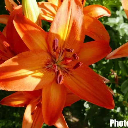 Gaestehaus Pointner 4*