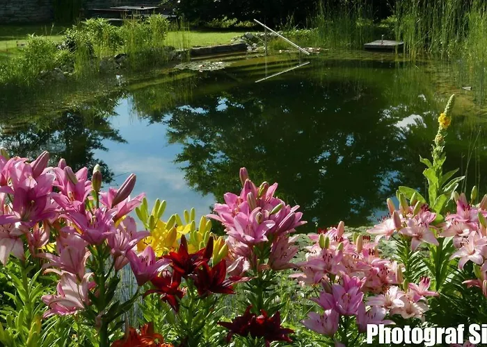 Gaestehaus Pointner Gars am Kamp