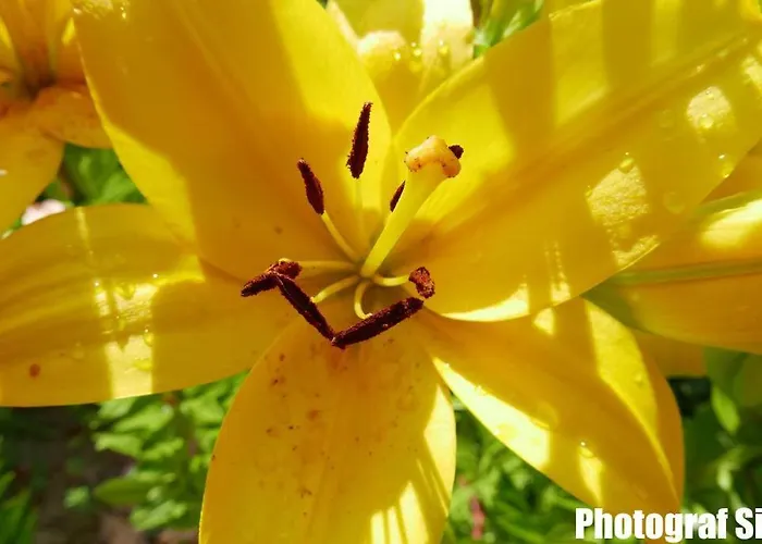 Gaestehaus Pointner 4*