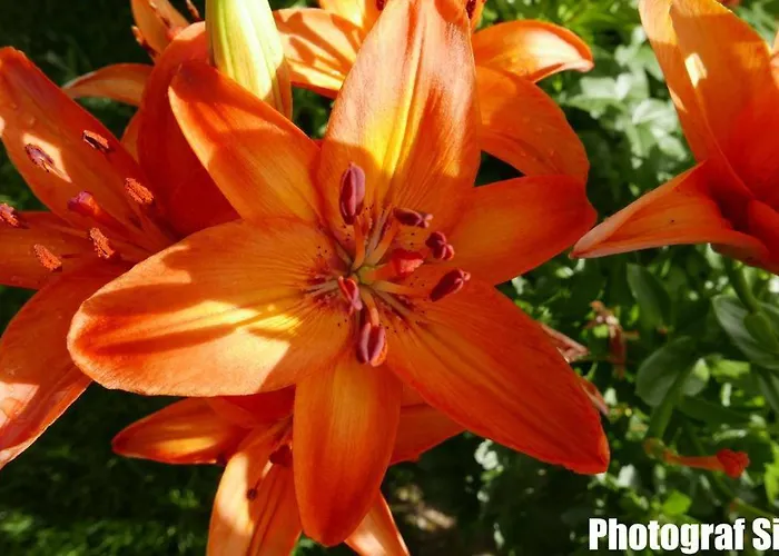 Gaestehaus Pointner 4*